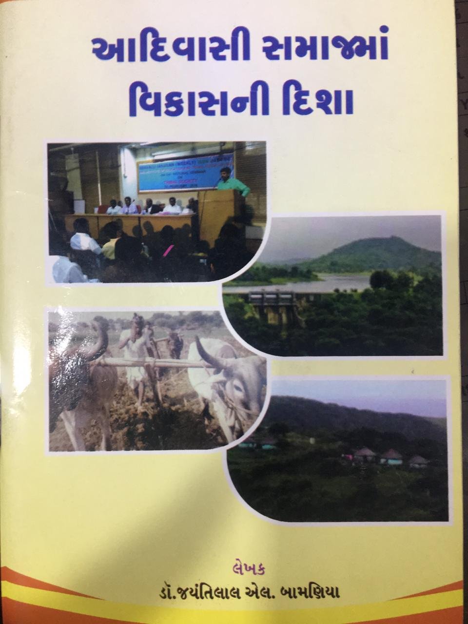 આદિવાસી સમાજમાં વિકાસની દિશા